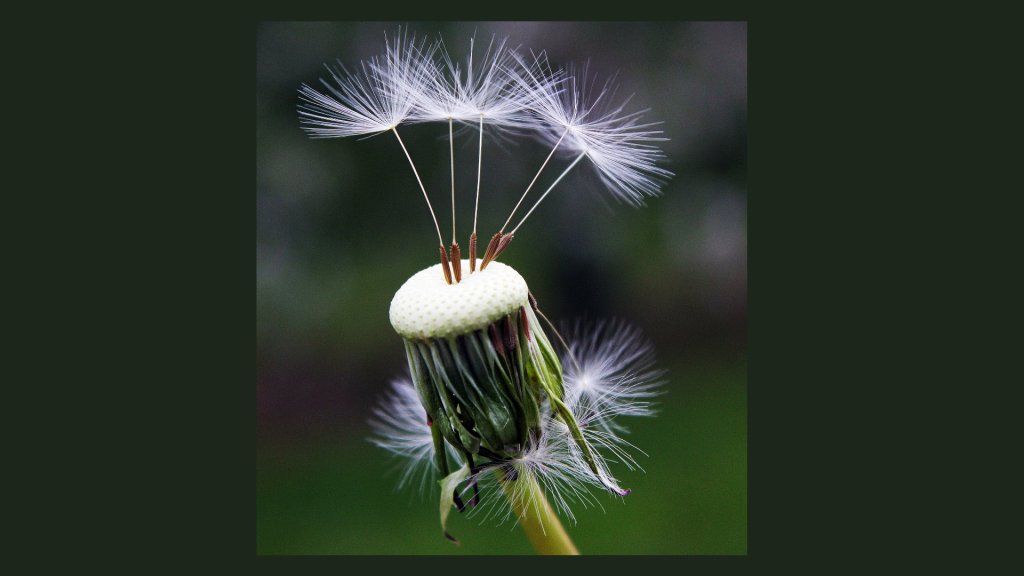 [台北]6/18,19 SSR古埃及靈氣一階課程-啟程