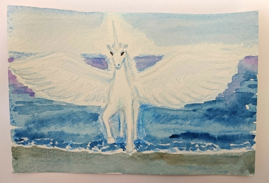 21277740_1454164934678534_265030389_o