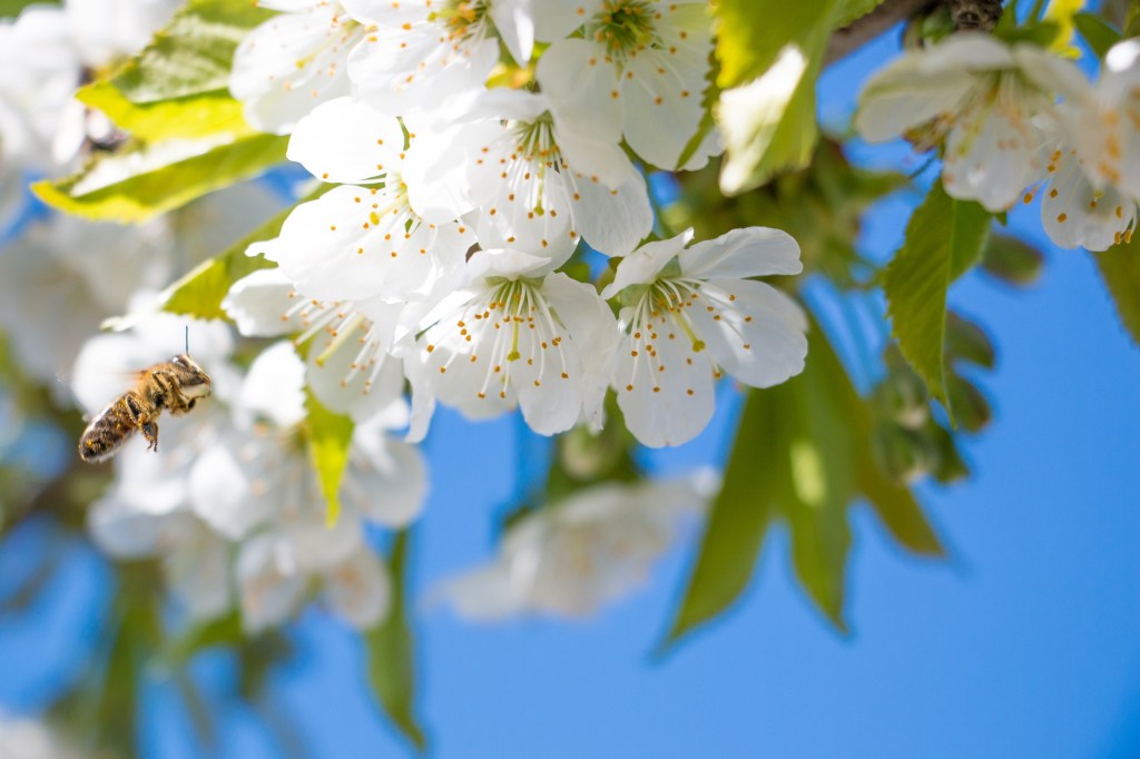 [台北] 3/11 身心靈同樂會-春&nbsp;SSRx天使x塔羅