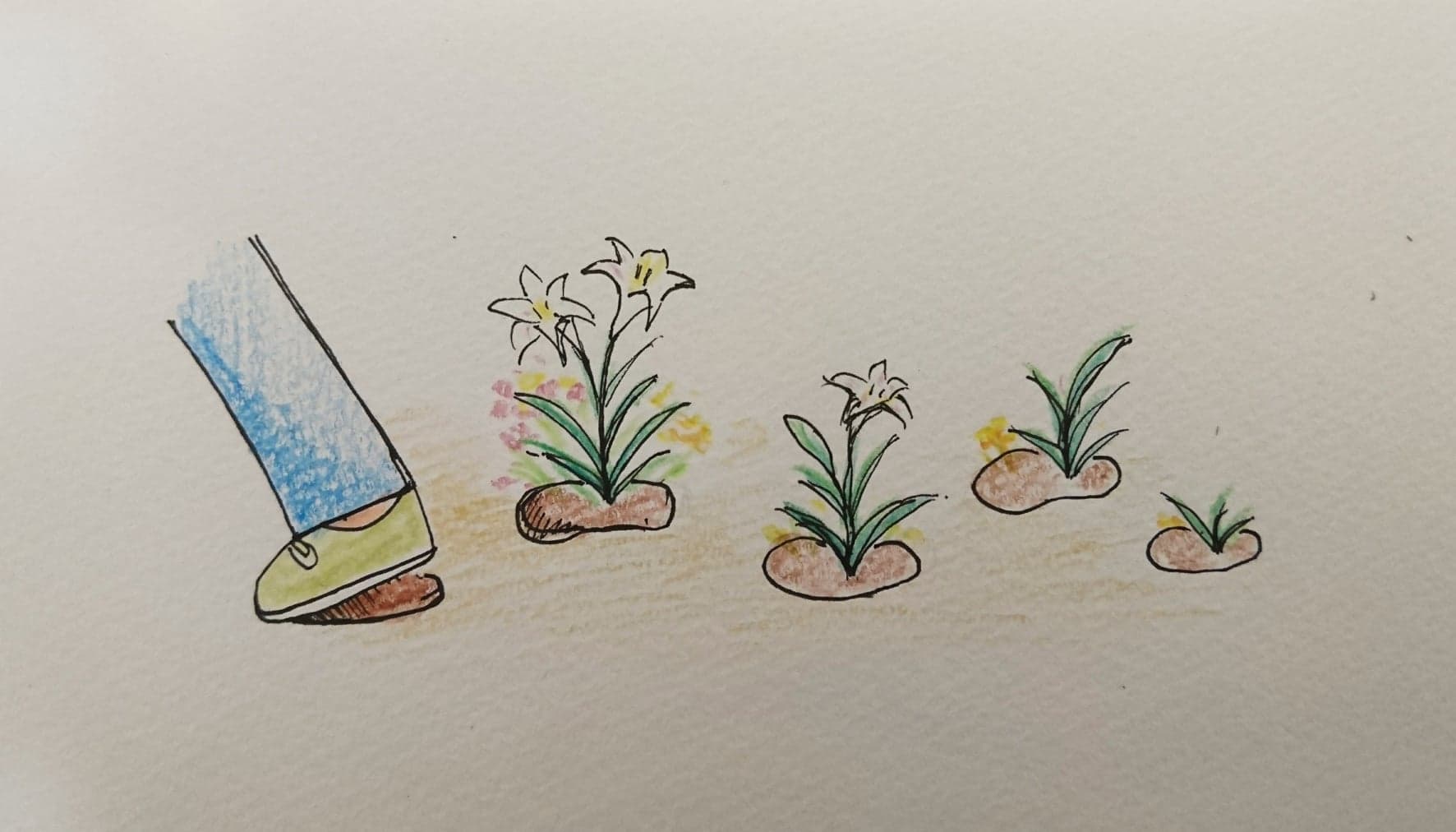 所有走過的 都開出了花