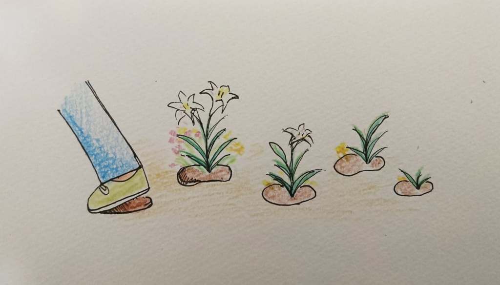 所有走過的 都開出了花