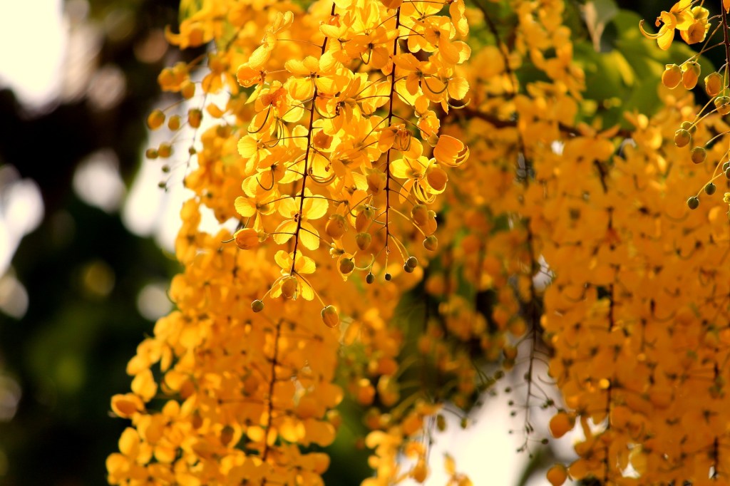 [台北] 9/29 身心靈同樂會-秋